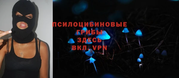 шишки Балахна