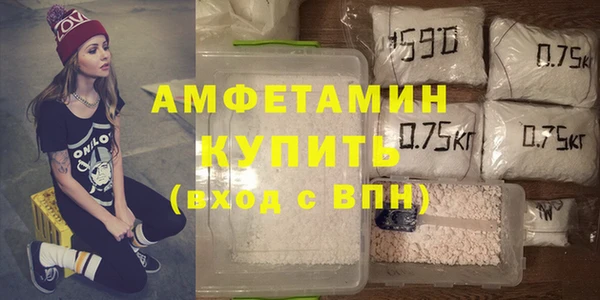 шишки Балахна