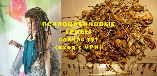 шишки Балахна