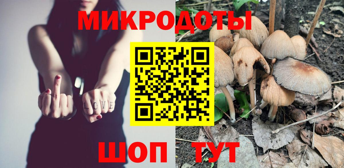 Псилоцибиновые грибы Psilocybine cubensis Рыбинск