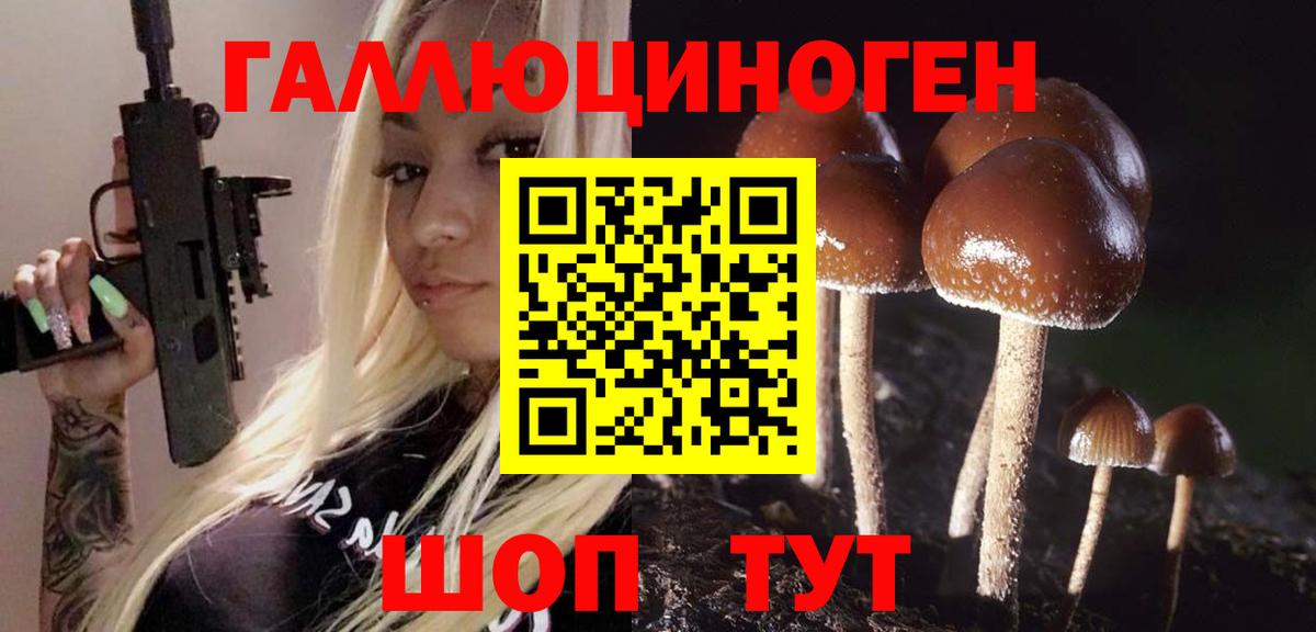 Галлюциногенные грибы Psilocybe  Вход с VPN  Рыбинск 